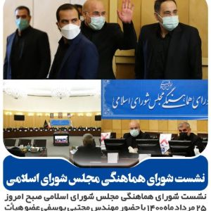 نشست شورای هماهنگی مجلس شورای اسلامی
